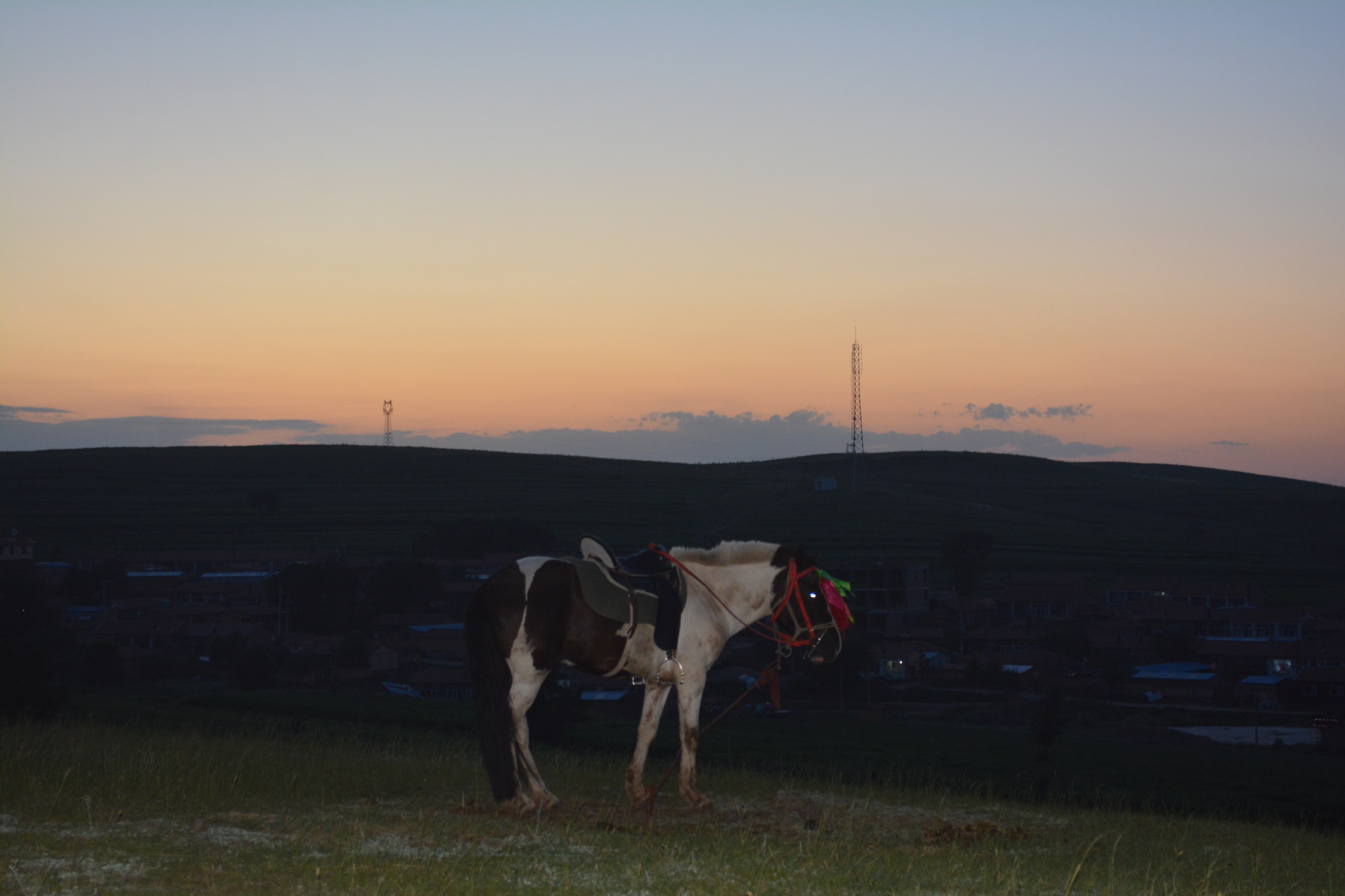 张北草原天路和野狐岭哪个好玩,火车去张北的攻略