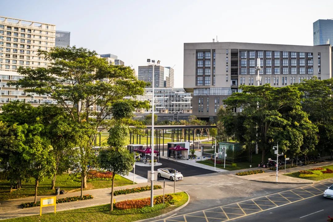 深圳大学各专业广东录取分数线,深圳大学在广东各专业录取分数线