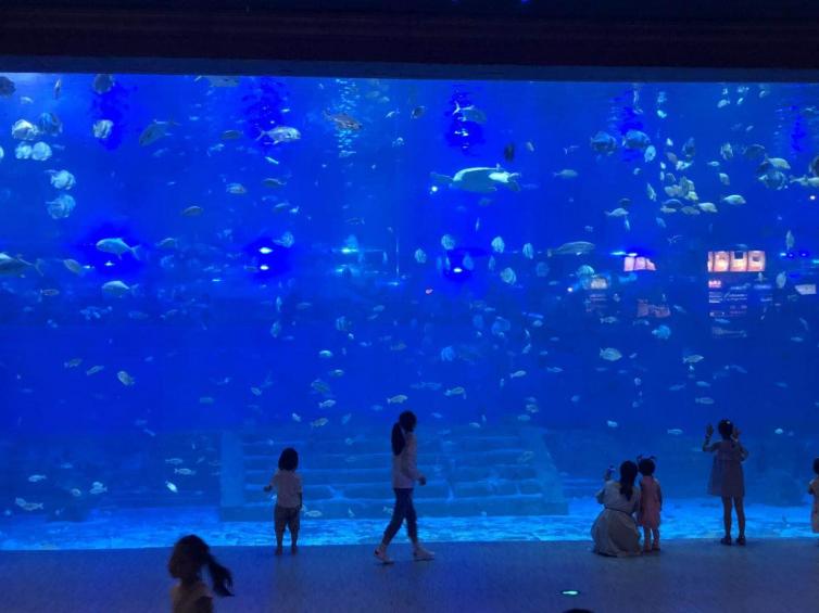 重庆十大景点自驾游攻略,重庆周边冬天自驾游的绝佳去处