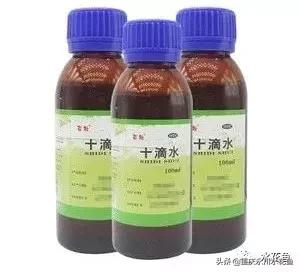 鲢鳙出血病防治方法,花白鲢败血症用什么药