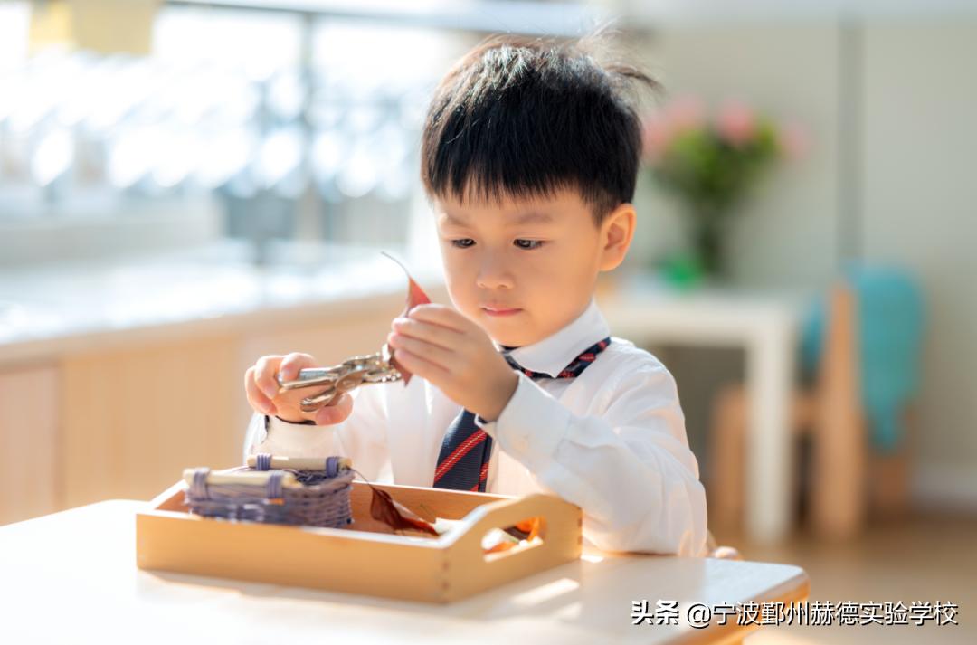 这所“相貌平平”的幼儿园，为什么宁波家长排着队想把孩子送进去