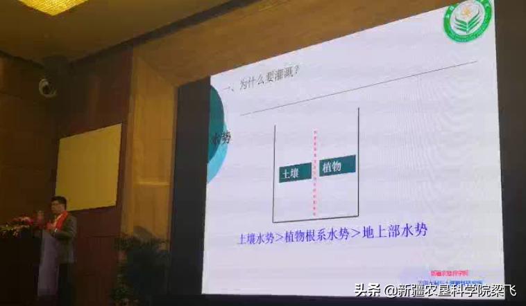 盐碱地小麦什么时候浇返青水最好,小麦地盐碱化