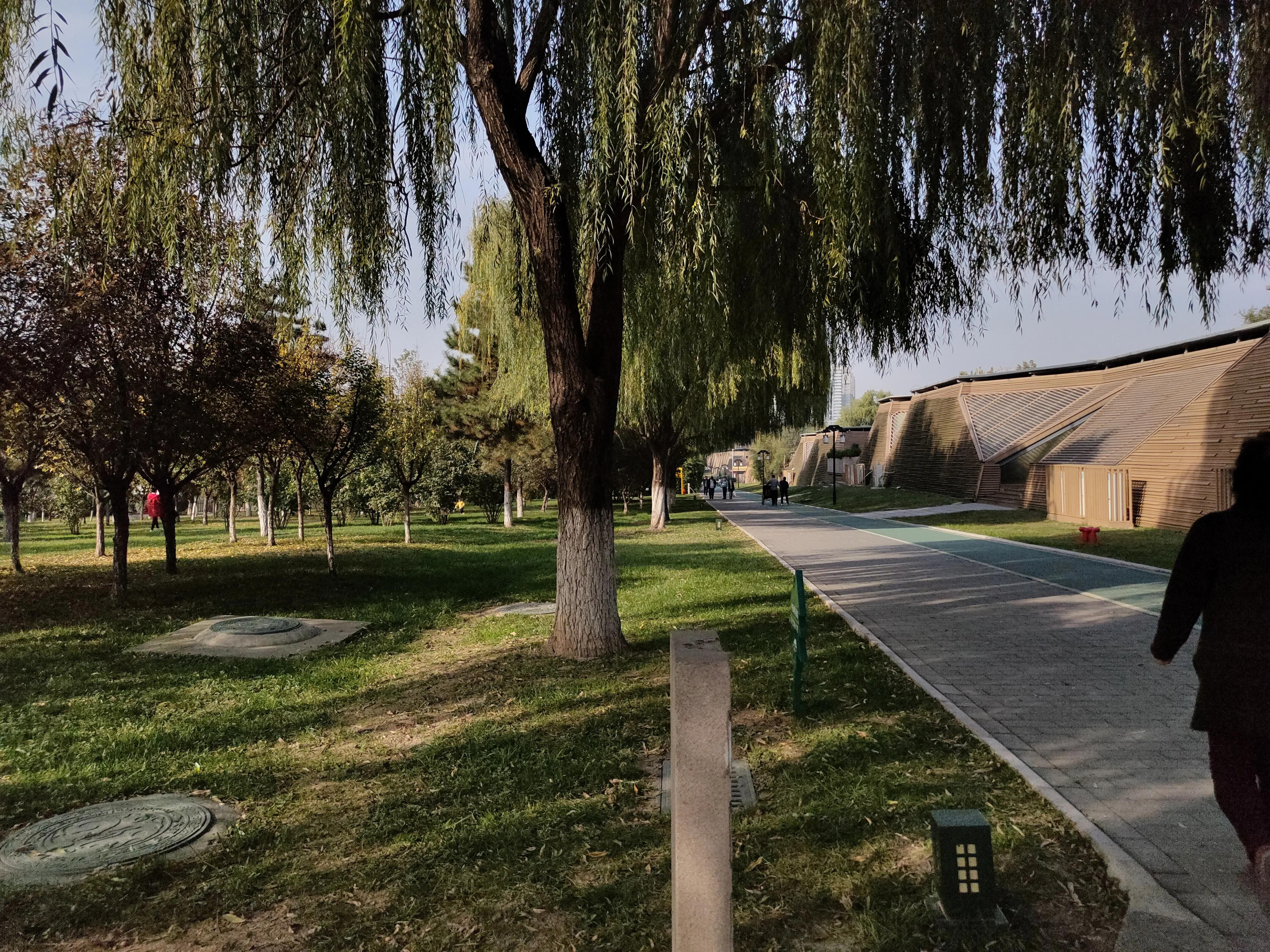 探寻西安大明宫国家遗址公园攻略,西安的大明宫遗址公园