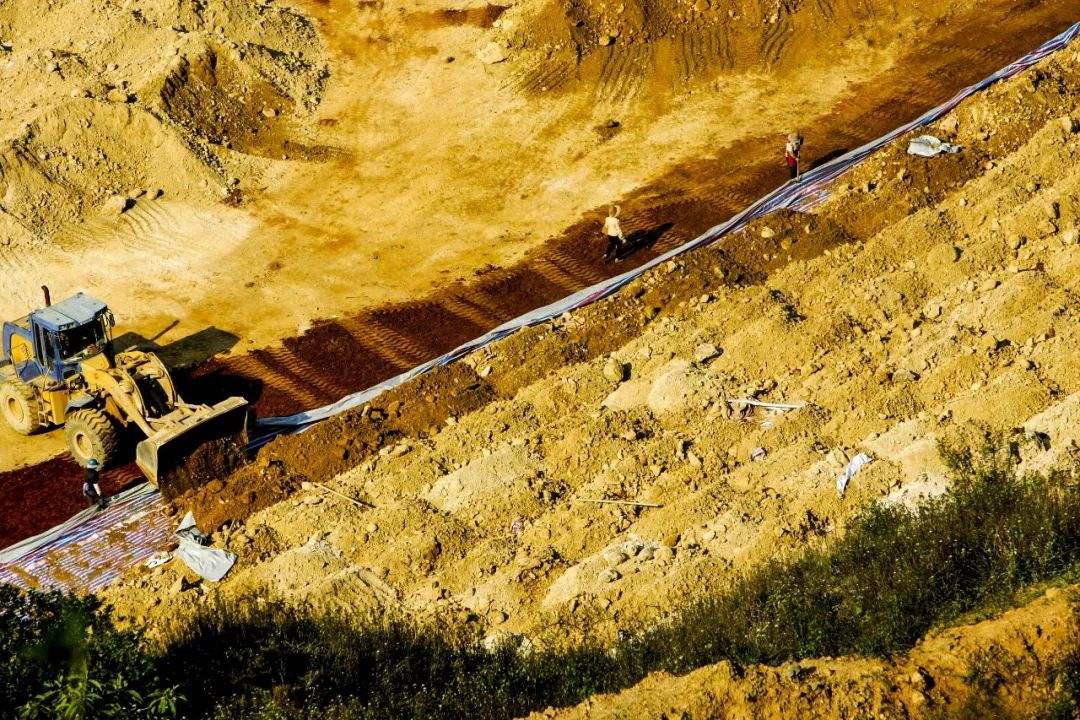 中国80%的大豆是进口的吗,中国70%的石油靠进口吗