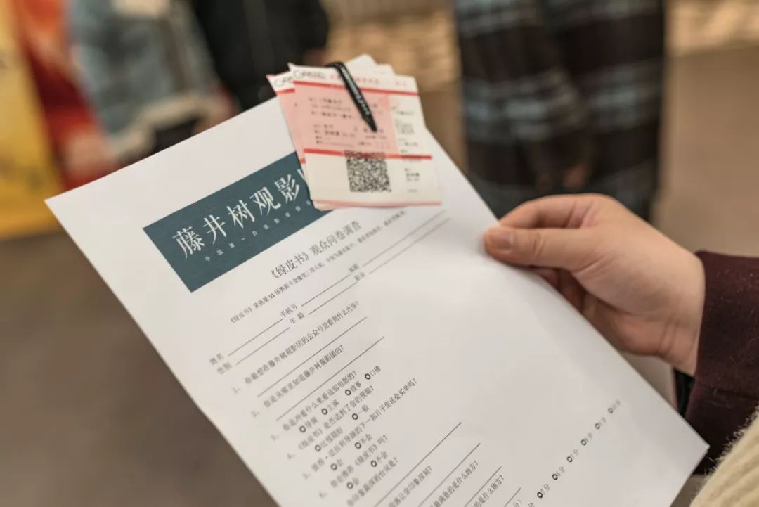 藤井树哪个电影最好看,藤井树观影团公司在哪里