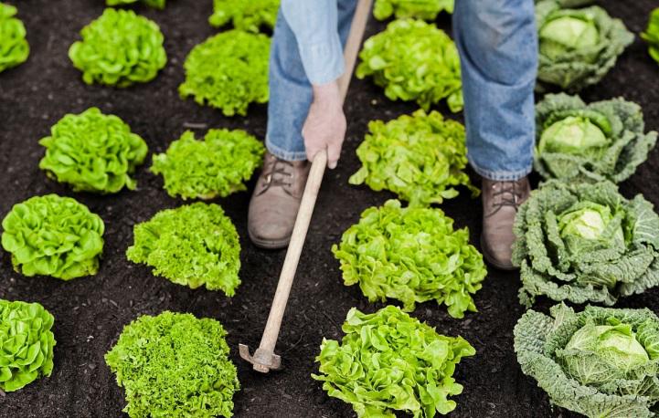 当下最靠谱轻资产创业项目,现在适合年轻人轻资产创业的项目