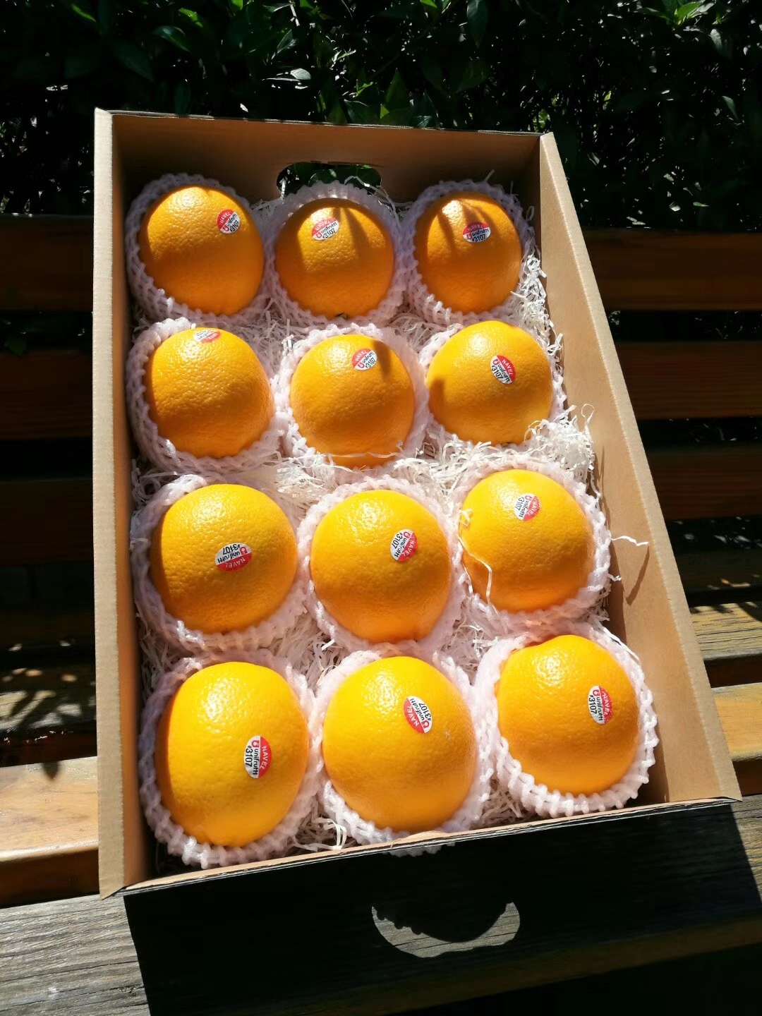 全球十大名橙排名,国内外名橙