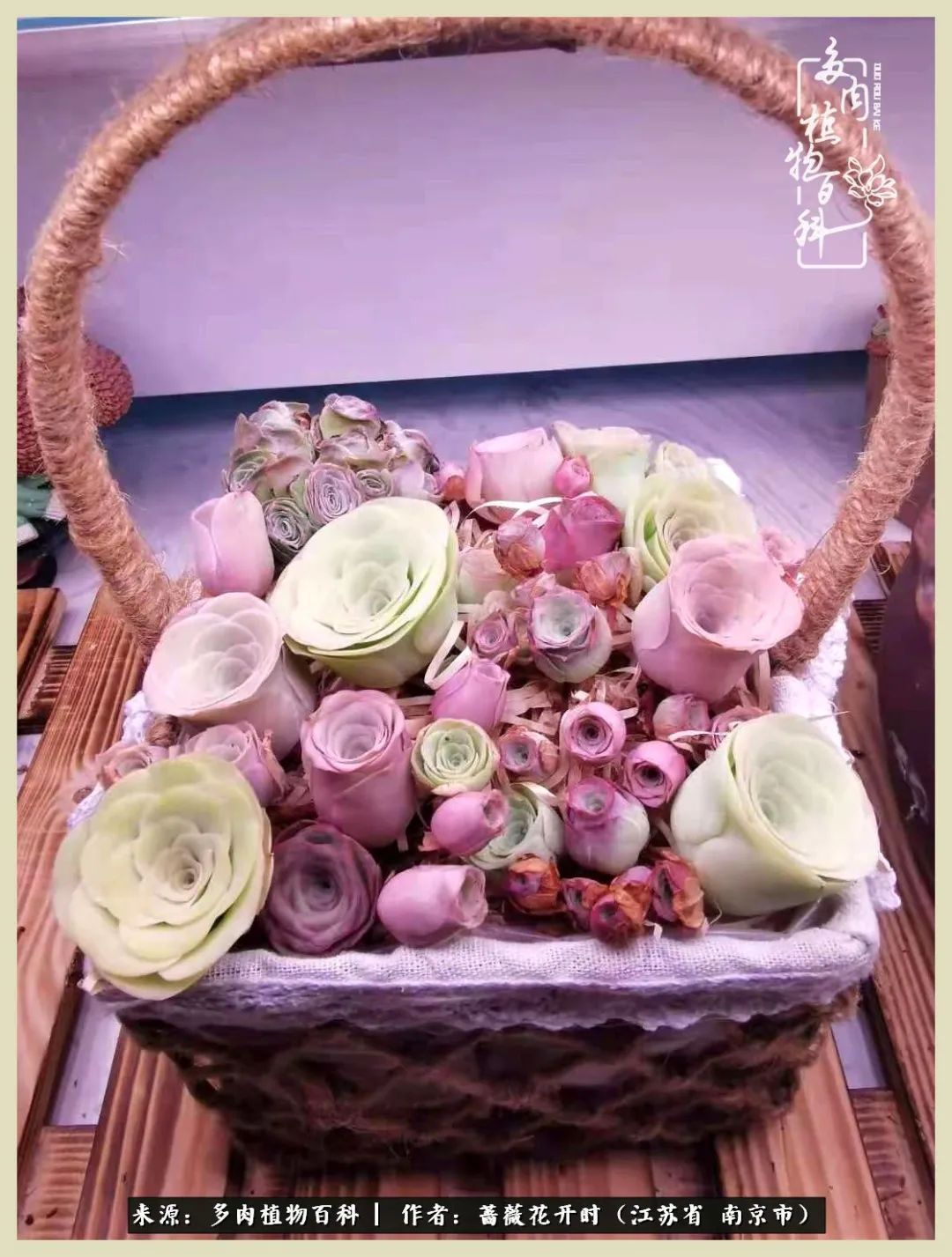 又见颜的妩媚，色的诱惑！这些山地玫瑰礼盒惊艳了眼眸