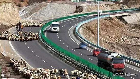 新疆十八怪讲解,新疆十八怪全集电影