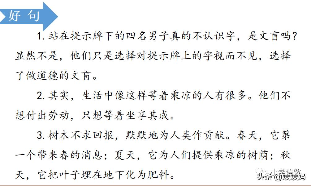 漫画的启示作文400字五年级下册,漫画的启示父与子五年级作文500字