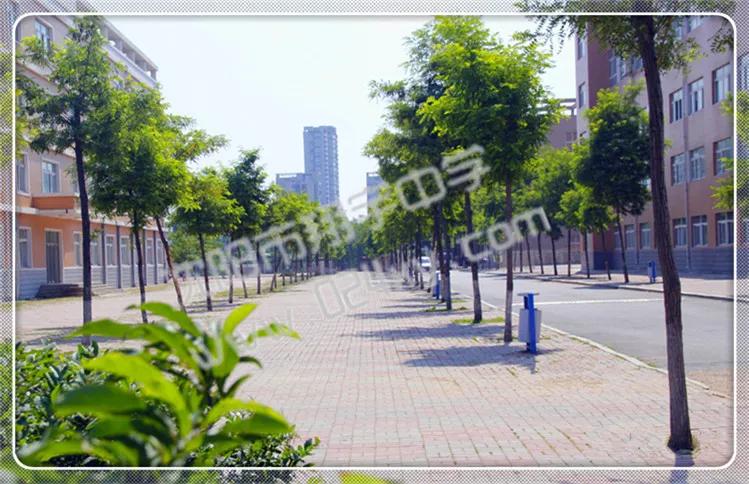 辽宁翔宇中学,2021辽宁沈阳翔宇中学