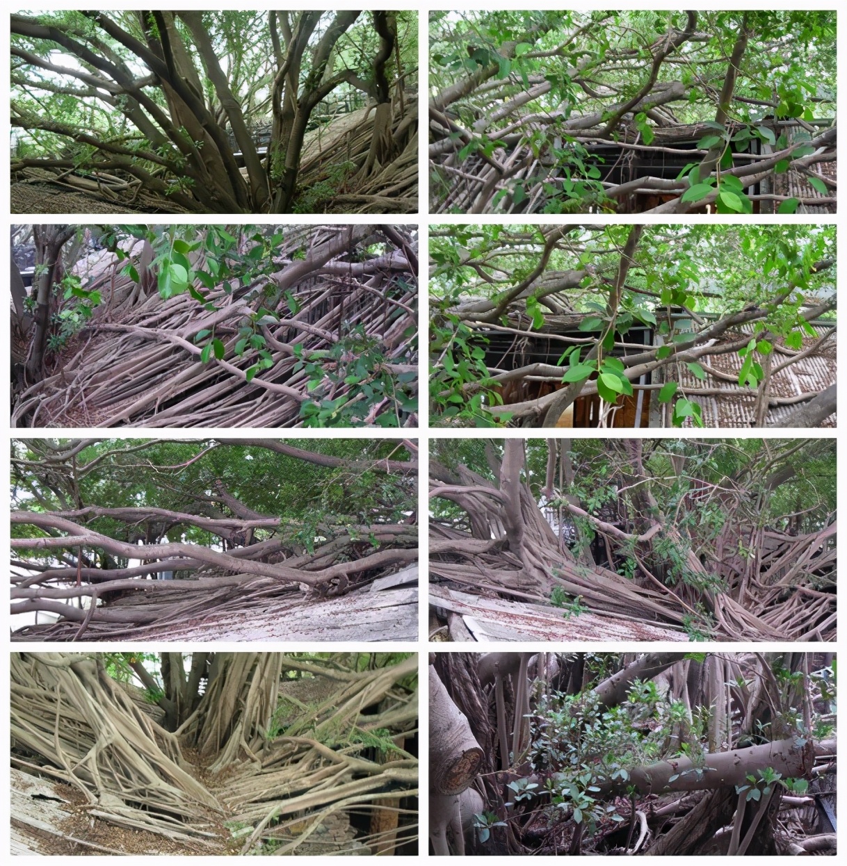 2018年十一月台湾环岛八日游攻略,台湾15天环岛游自由行