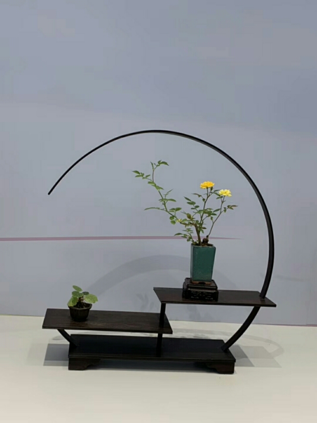 巜以苏轼之名，品味宋代极致美学》——王伟书法之十五