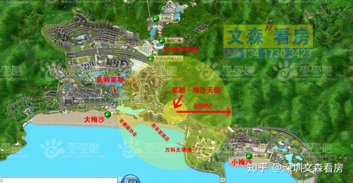 深圳梅沙天邸最新情况,盐田星都梅沙天邸毛坯房