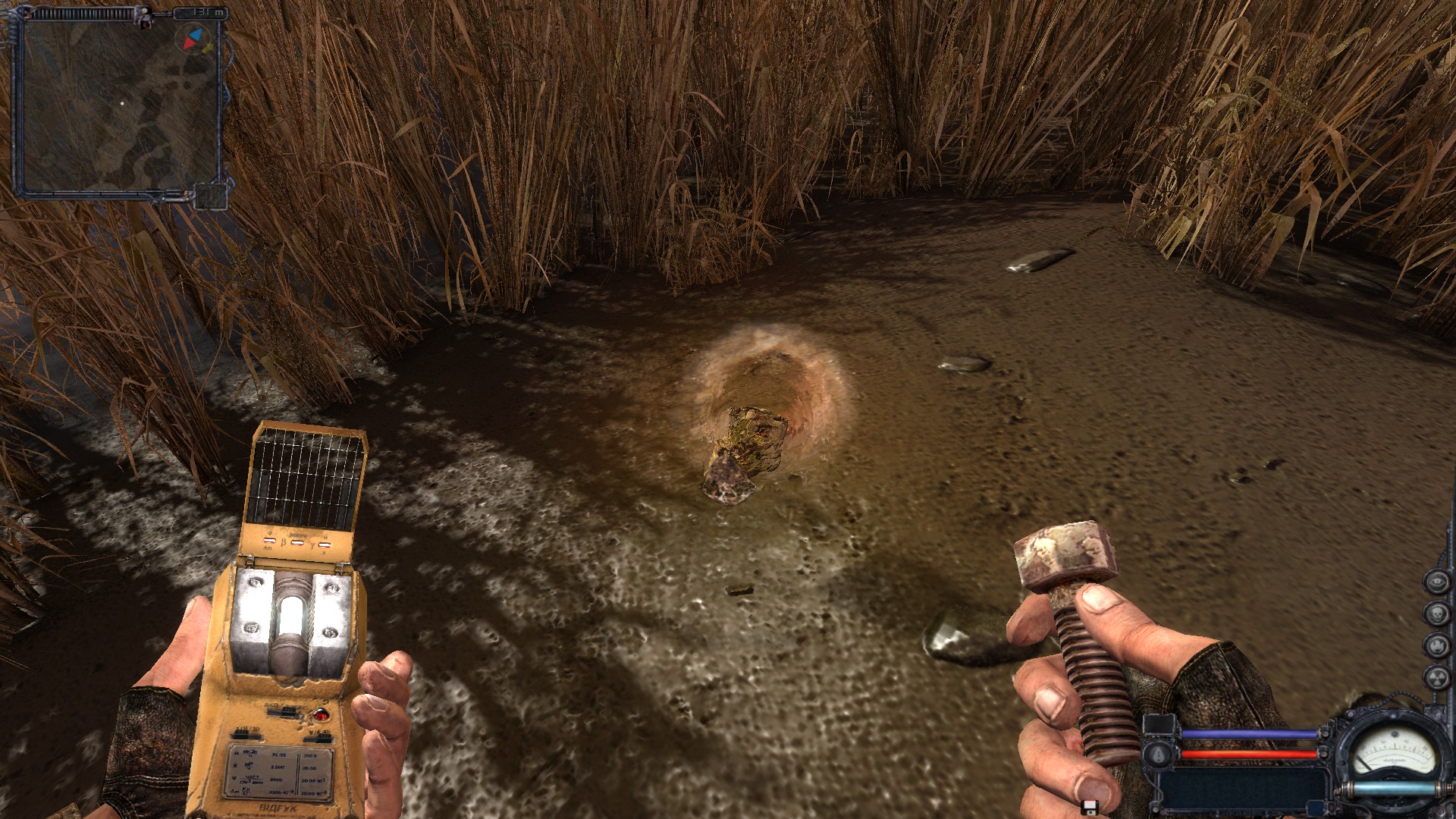 朝花夕拾雪地捕鸟视频,朝花夕拾雷利亚