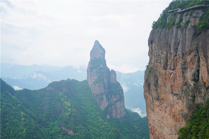 浙江有一个神奇山,浙江山里蝌蚪