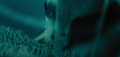 富二代晒骨皮包的残忍真相,人骨皮包的真相