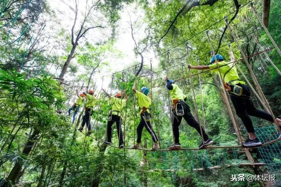 体育无处不在运动无限精彩征文,体育无处不在运动无限精彩