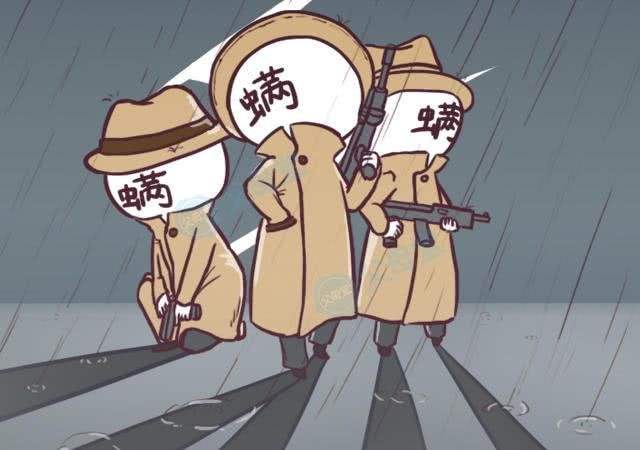 螨虫痘如何去除最高效,如何有效除螨虫痘