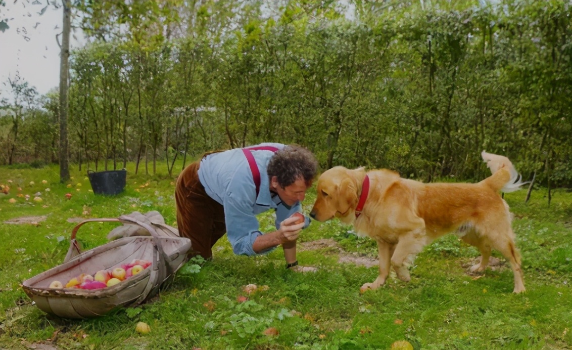 他经历破产、抑郁，却被植物治愈，成为BBC王牌节目主持人