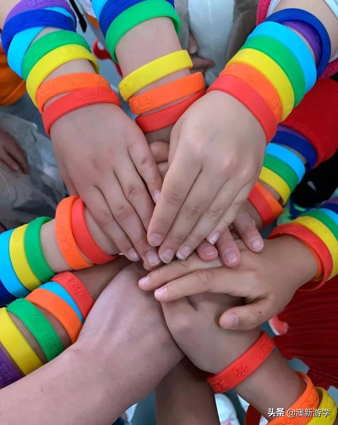 澳洲游学满载而归,澳洲亲子游学日程安排