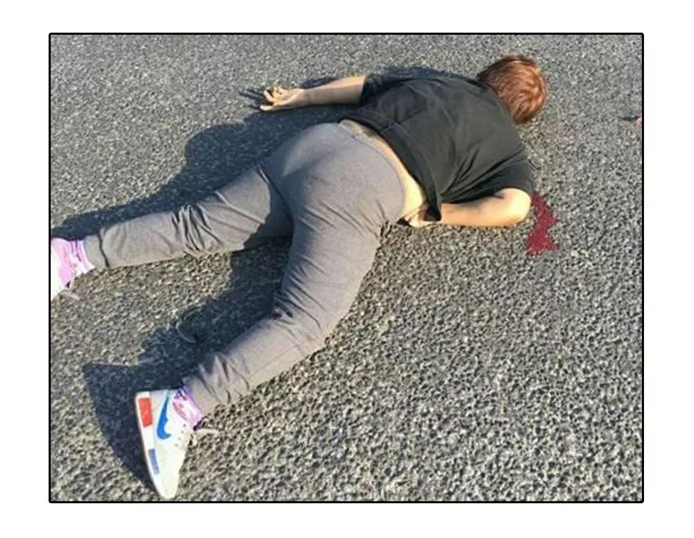 铲屎官安全注意事项,铲屎官遇到危险土狗