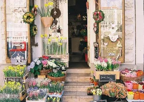 开一个花店指南,如果你也想开一家花店书籍