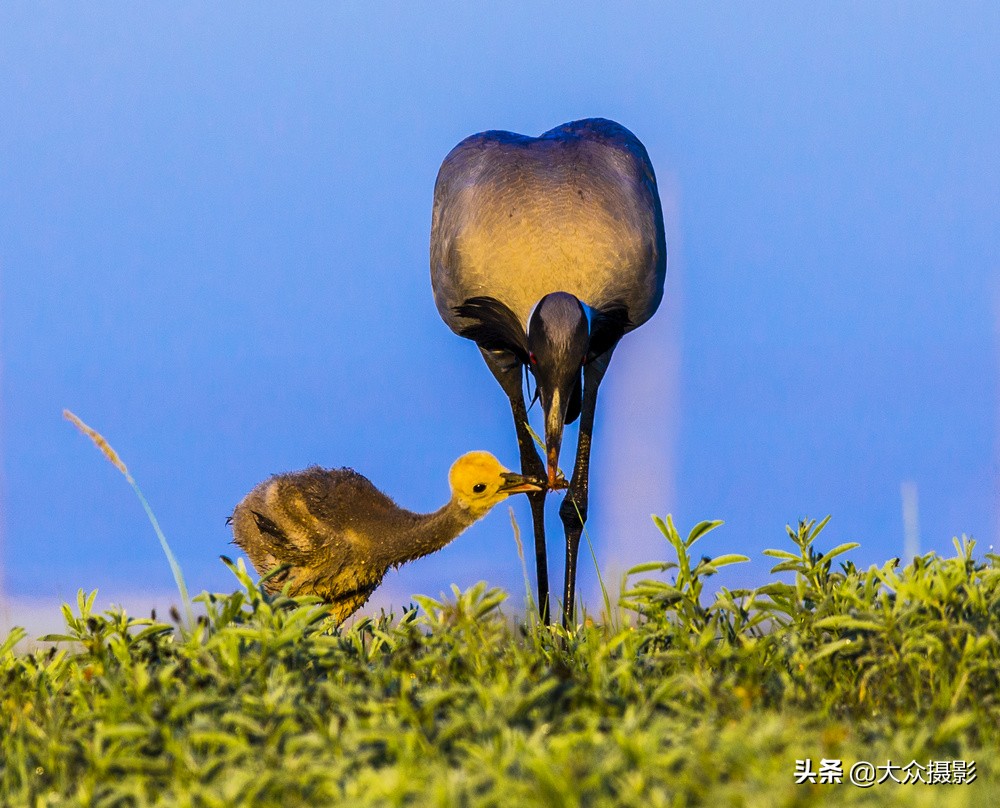 摄影如何提高锐度,佳能单反怎么提高锐度