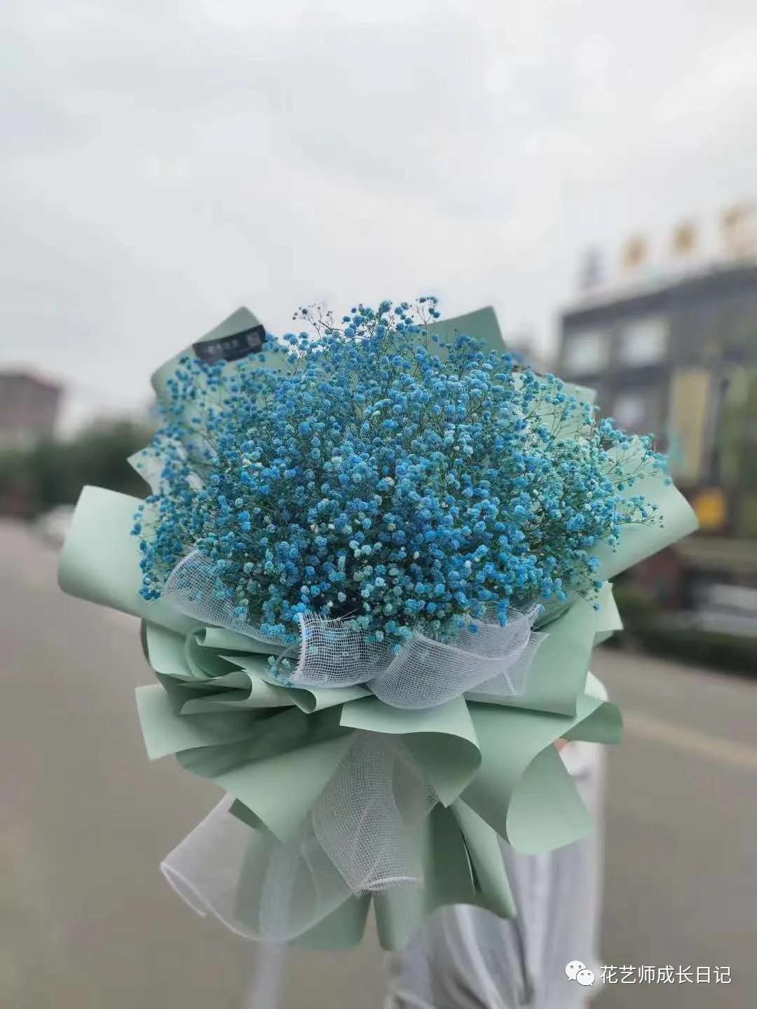 满天星什么色好看,推荐好看颜色满天星