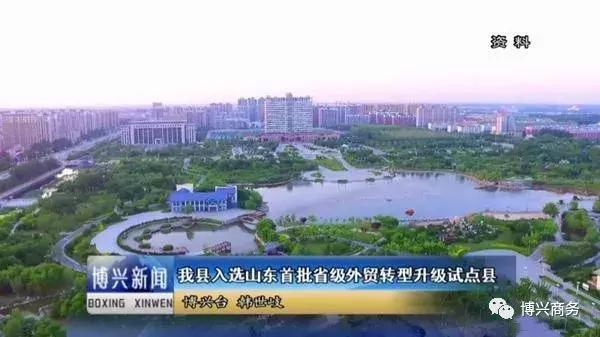 山东肉牛养殖企业排名前十强,滨州博兴十大企业名单