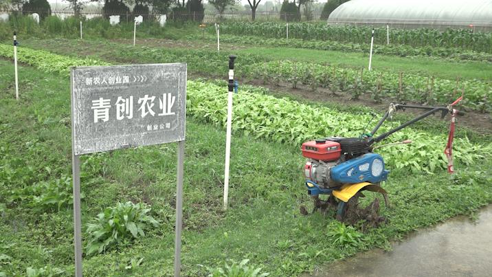 三零模式带动牧民脱贫,三零创建与乡村振兴