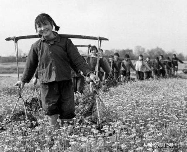 故事片透明的红萝卜完整版,透明的红萝卜有声小说免费