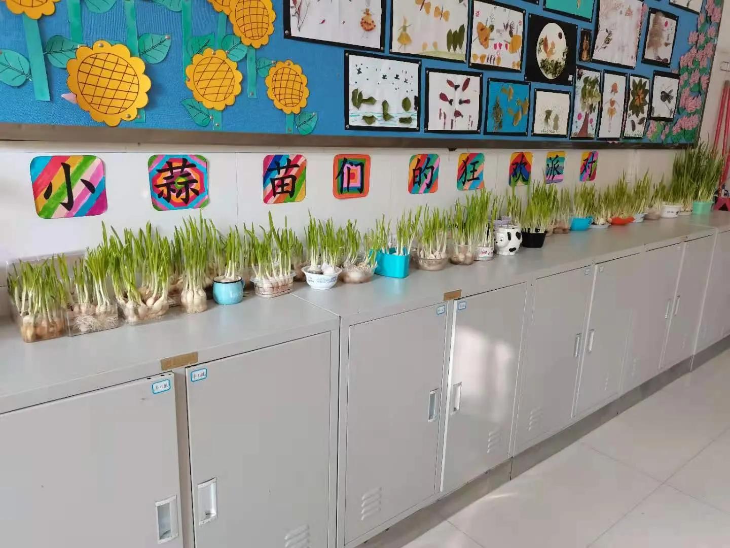 商丘市工学院附属兴华学校六年级,商丘兴华学校2024毕业班优秀学生