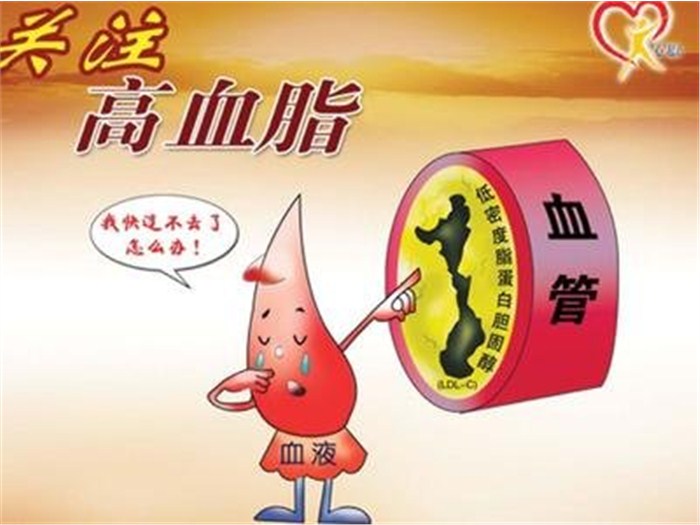 高血脂症怎么办,什么是高血脂症的症状