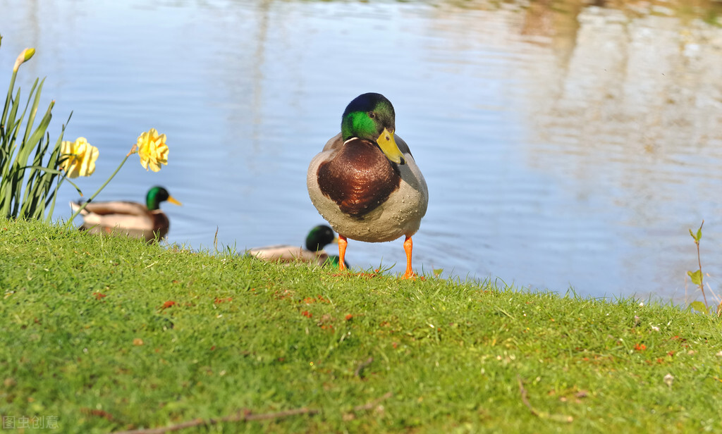 她拥有绽放的喜悦文/亚楠