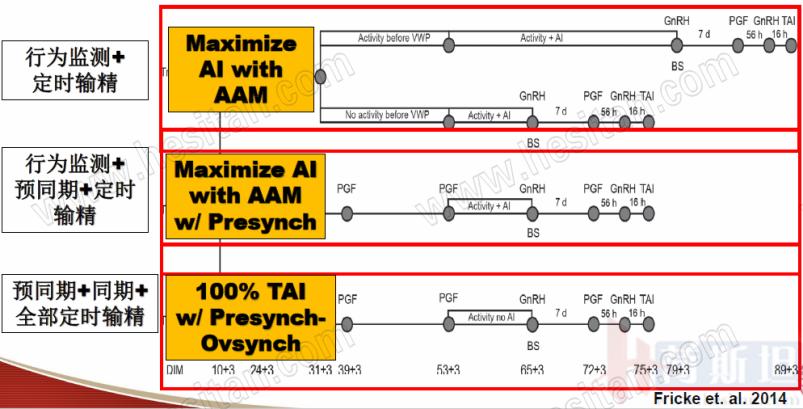 康奈尔大学JulioGiordano:如何通过技术整合优化繁殖性能