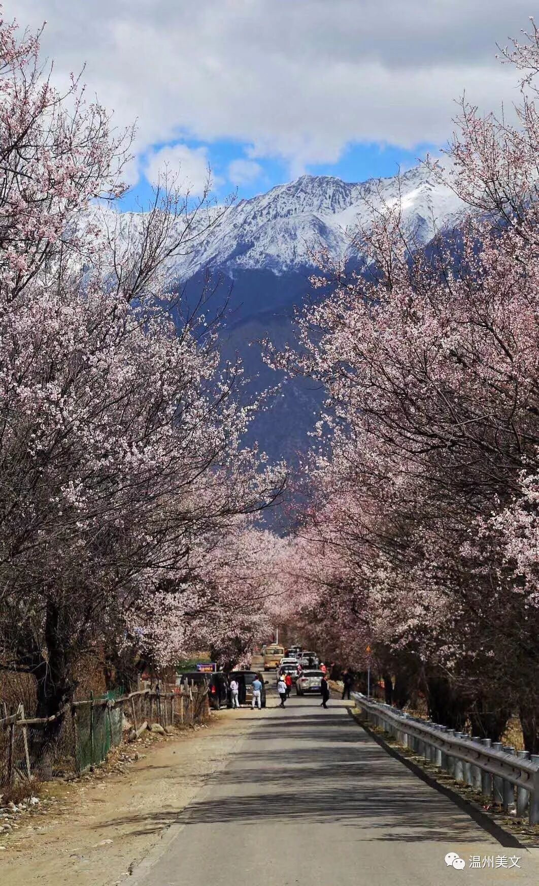 始于颜值忠于才华和人品,始于颜值陷于才华忠于人品