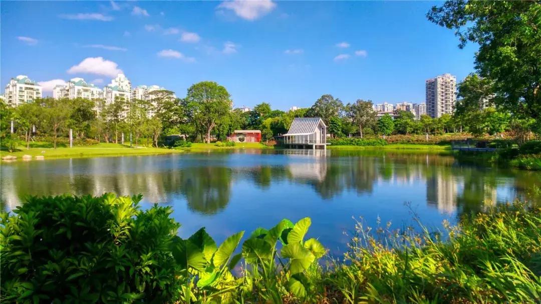 深圳最美婚姻登记中心,深圳最美婚姻登记攻略