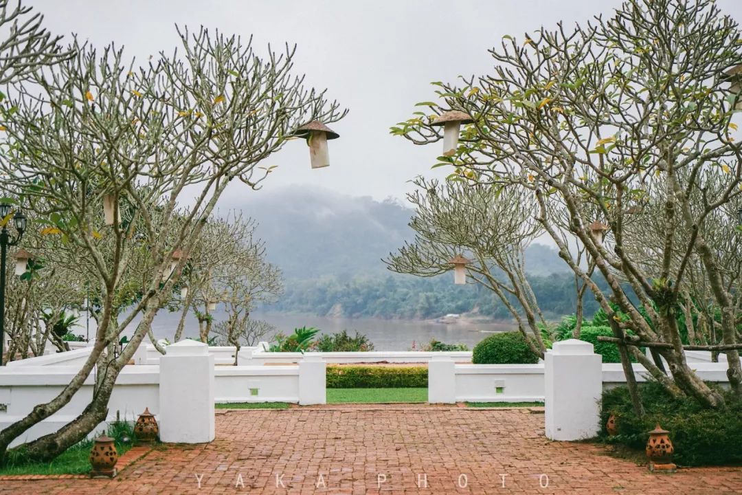 昆明自驾老挝超详细攻略,昆明老挝一日游