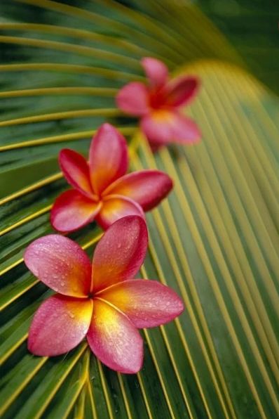 水逆退散迎贵人避小人,水逆退散远离小人