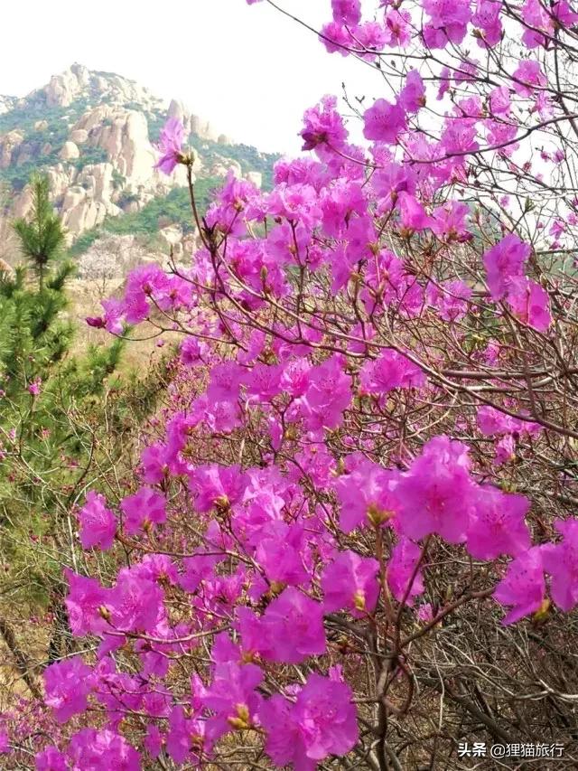 五莲山九仙山为什么有名,五莲九仙山孙膑书院的传说