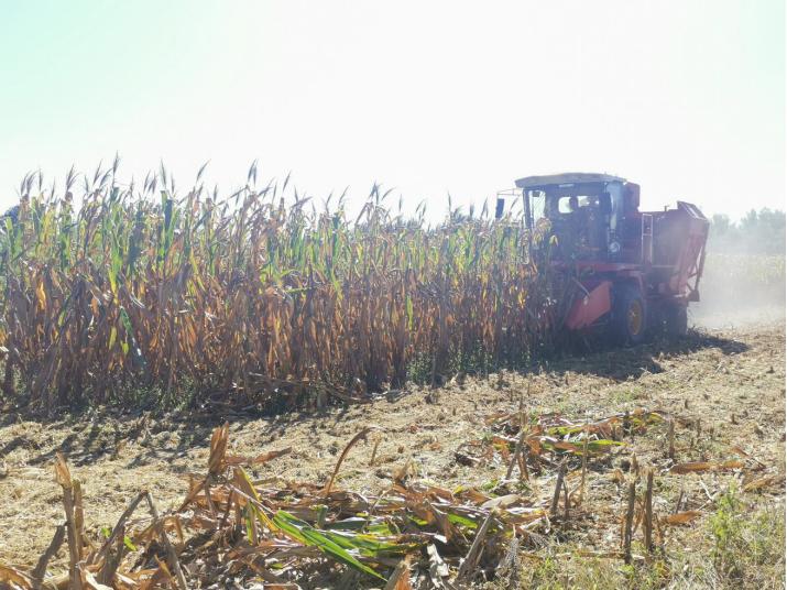 抓六稳促六保打好民生保障攻坚战,抓六保促六稳项目