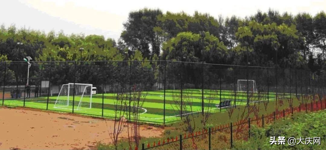 大庆足球场建在哪里,大庆对外开放的体育馆
