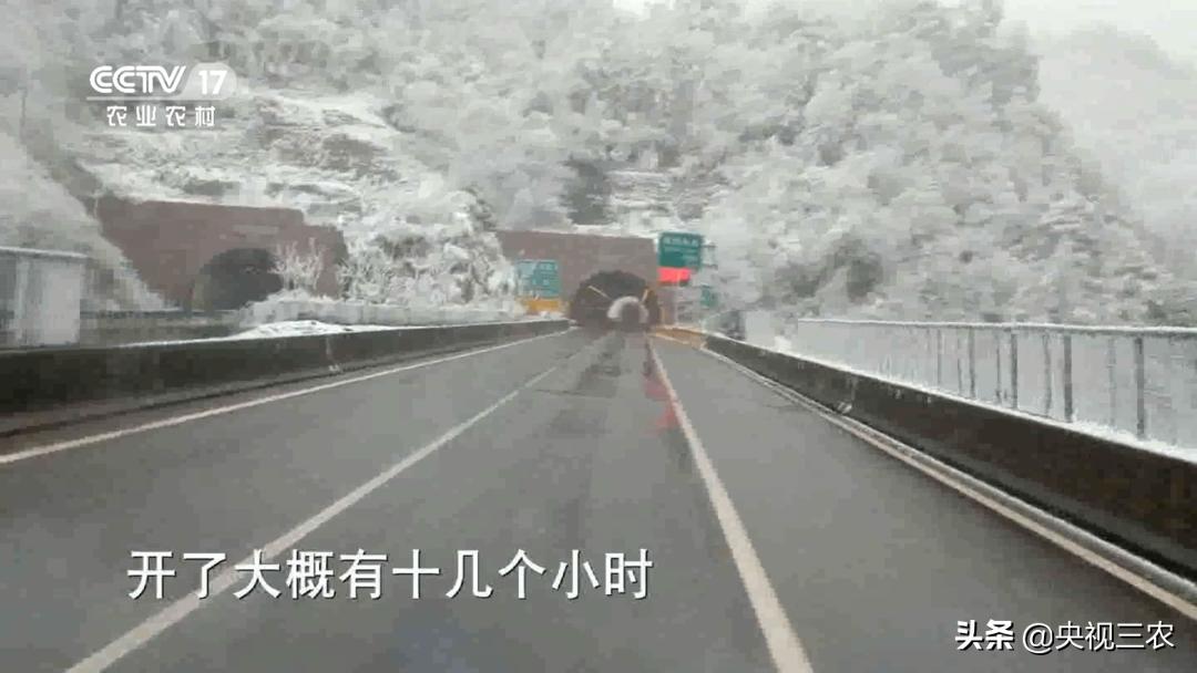 退伍老兵一个习惯救了自己一命,退伍老兵救了一车人