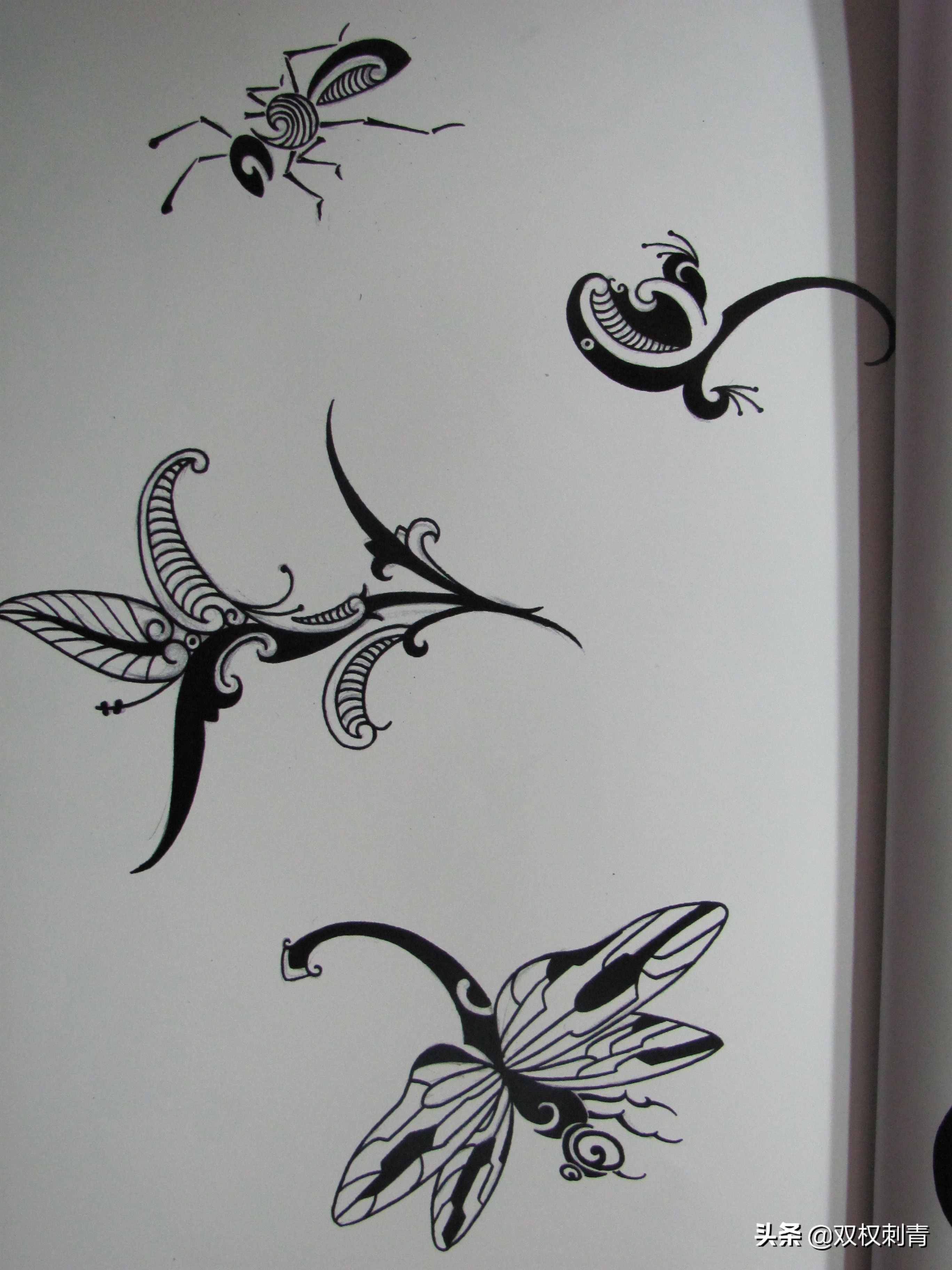 凤凰图腾图,张氏图腾图