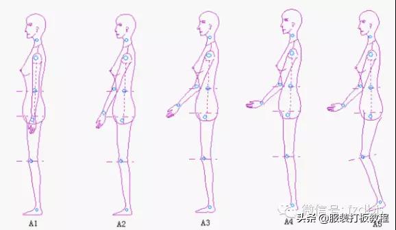 裤子技术,裤子的解密方法和技巧