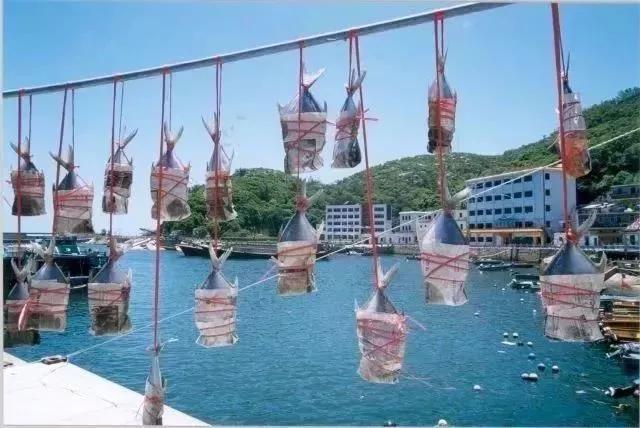 双十一民宿打折吗,双11秒杀民宿