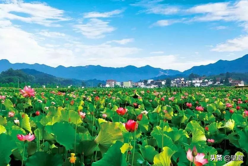 留住乡愁记忆的山居村落,乡愁记忆最美乡村风景