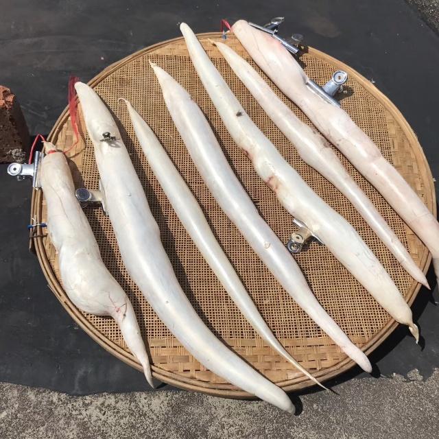 花胶的选购方法教你选择优质花胶,花胶怎么挑选好用