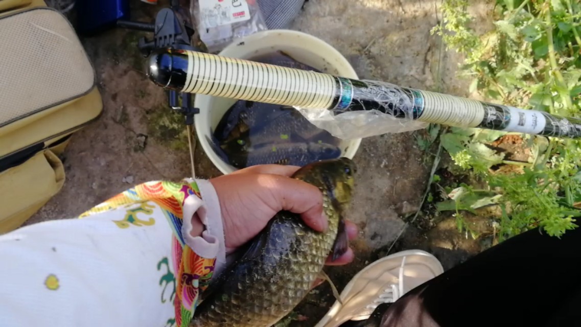 钓鱼子线如何加装防缠绕,哪款钓鱼子线不易缠绕